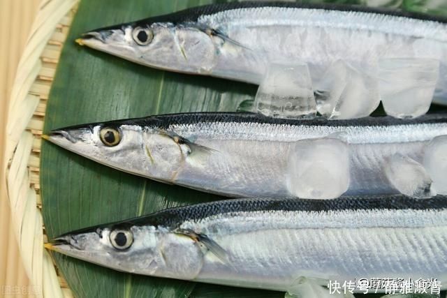 买海鱼就买这4种,营养美味而且无法人工养殖,无需担心放心吃