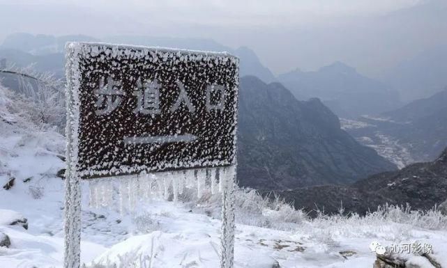 雪后王莽岭，美得不要不要的！