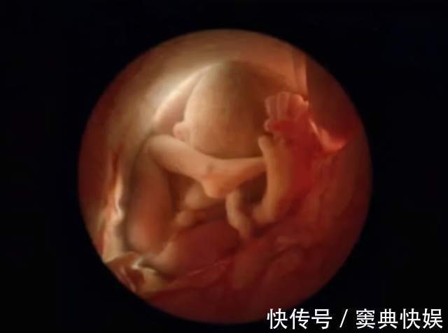 智商|出生季节能决定智商研究表明孩子在这两个季节出生更占优势