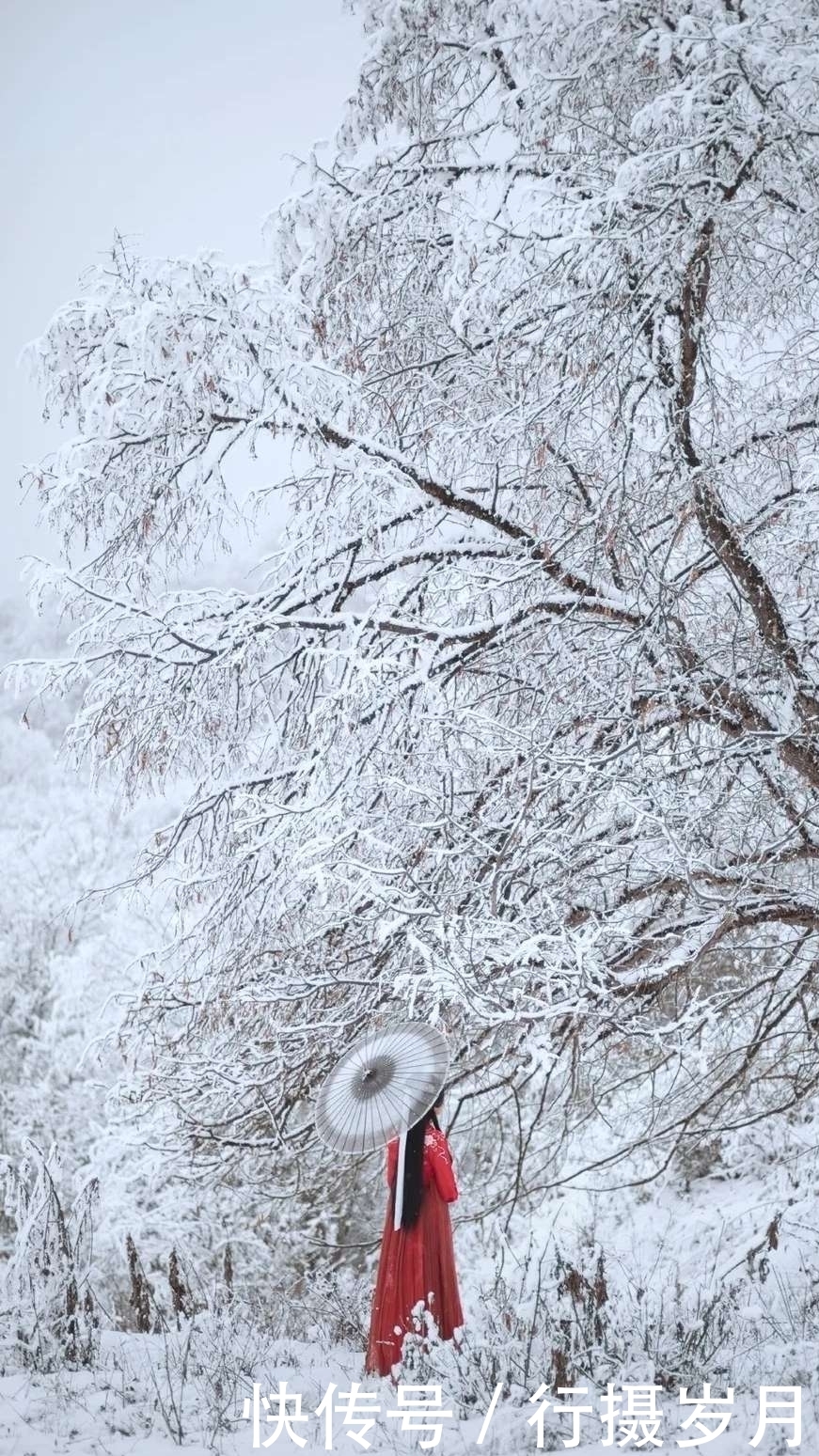 那一抹摇曳的红裙,在心里低吟浅唱