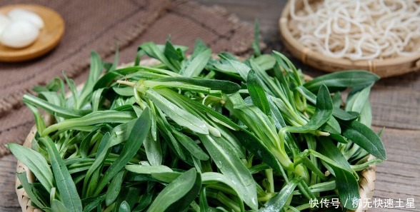 吃法|夏季挖野菜，送你64种野菜图片大全，教你认识不同的野菜和吃法！