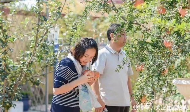 旧农舍改造成花园，一年四季花开不断，邻居看了羡慕的不得了！