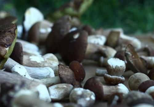 西红柿|夏季养生,先养肝!建议:这5种蔬菜常吃,或有利肝部健康