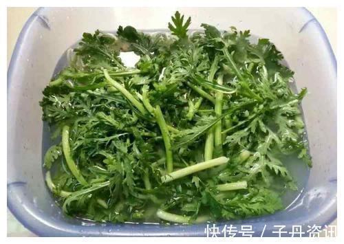 茼蒿菜|宁可不吃肉也得每天喝碗它，健脾又开胃，“失眠便秘”最怕它