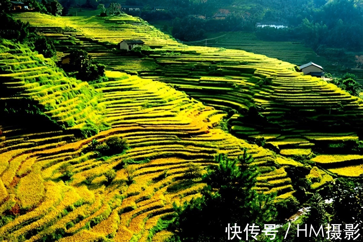 遂川|世界十大最美梯田之一，四季皆景——遂川桃源梯田