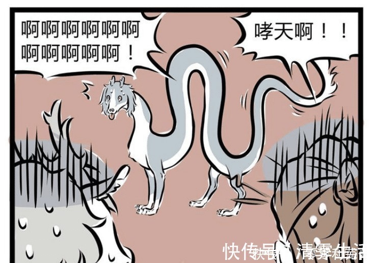 杨戬|非人哉杨戬“重拳出击”取出龙珠,哪吒苦不堪言,敖烈没胃口