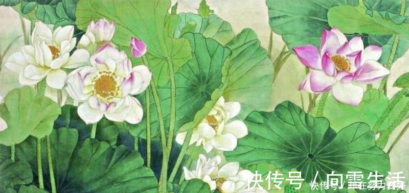 诗人&杨万里最唯美的一首诗,短短的四句,却是写出了世间最美的荷花!