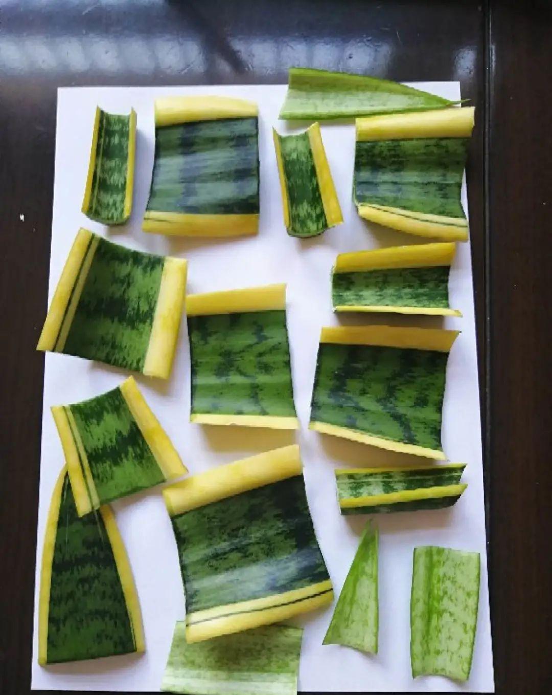 这几种花，要是秋天不扦插，错过就等1年