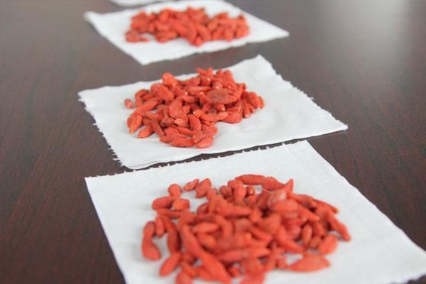 男人堅(jiān)持喝枸杞泡水，身體會(huì)收獲哪些益處？趕緊轉(zhuǎn)告你的男性朋友