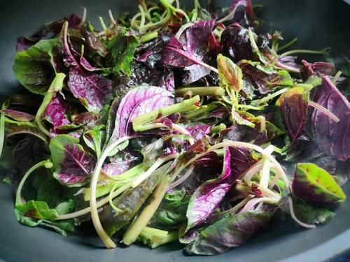 长寿菜|这菜可真是“一宝”，夏天吃最好，清热解暑，利尿除湿，不吃可惜