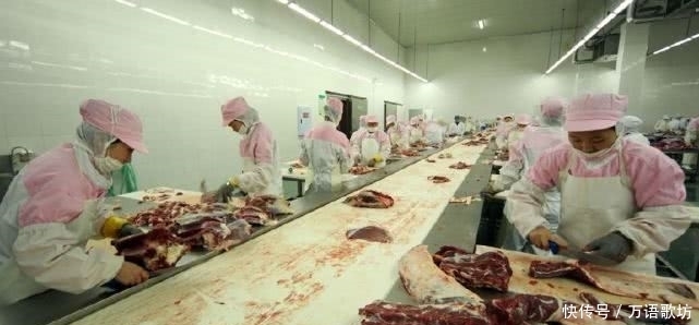 康师傅|奇闻:康师傅泡面一年竟要用上万头牛,网友:我信你个鬼