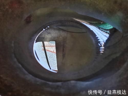 孜然粉|洋葱和它天生一对，是“天然泻药”，隔天排宿便，常吃体重不到百！