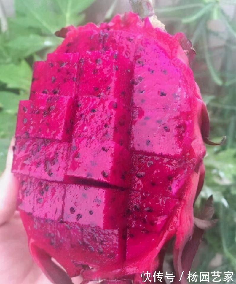 好吃|秋季干燥,记得多给家人吃它,润燥去湿又好吃,湿气全部跑光光