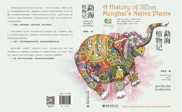  窒息|这些颜值在线的书，每一本都美到让人窒息