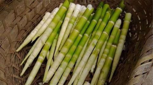 西红柿|人到中年,推荐多吃3种食物,保护细胞水分,延缓衰老,好吃不贵