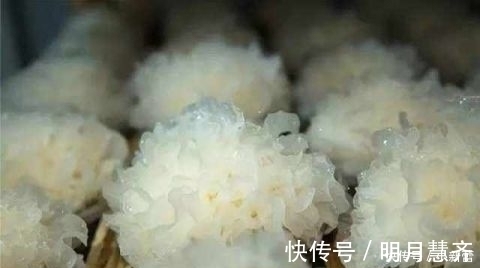 胎毒|孕妈最好常吃这4种食物能去除胎毒还有益于宝宝发育