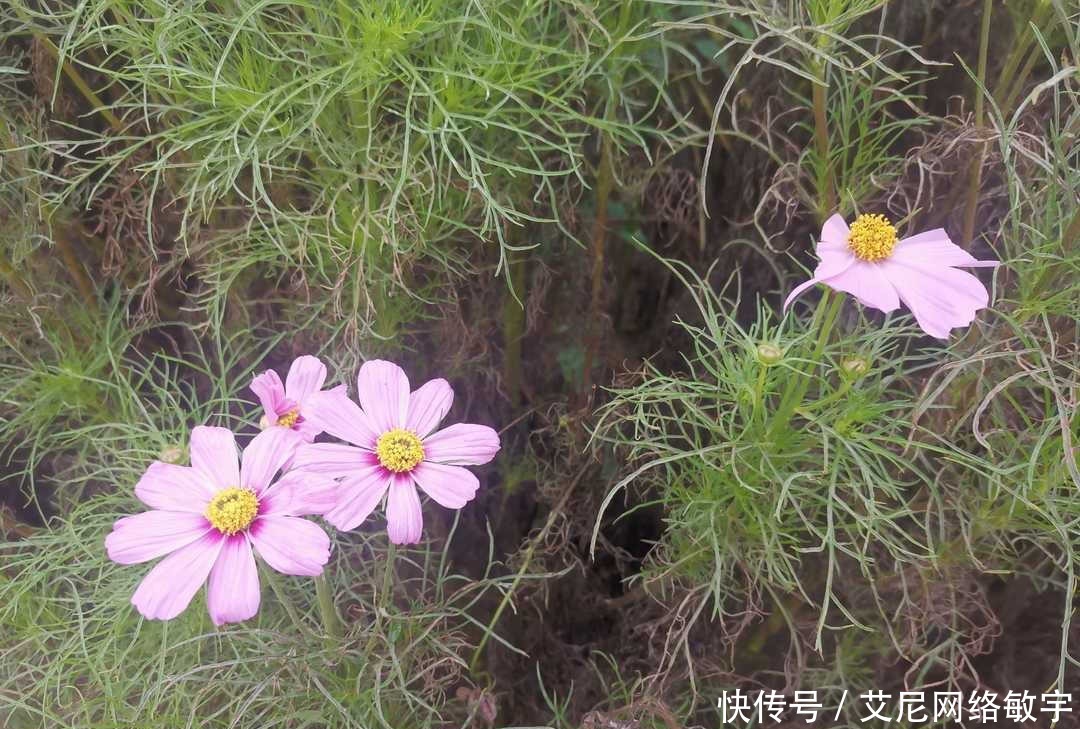 道德品质|曾国藩:自修之道莫难于养心,重读经典求得大悔大悟