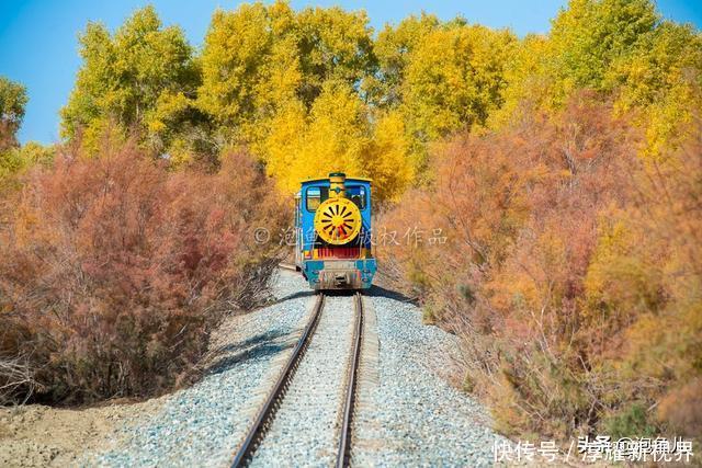 烟花|藏不住了!新疆发现全球最大沙漠胡杨林,比额济纳还美,游客很少