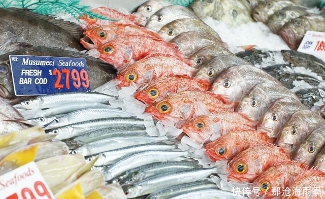 听说澳大利亚是个不会钓鱼都能钓上来鱼的地方,果然钓爆了