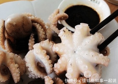 不动|为什么八爪鱼太硬咬不动老板不是鱼的问题,是你的做法错啦!