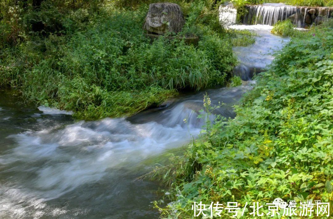 居庸关|这个风景秀美的村庄，溪流叠水，野花遍地，现在去正好~