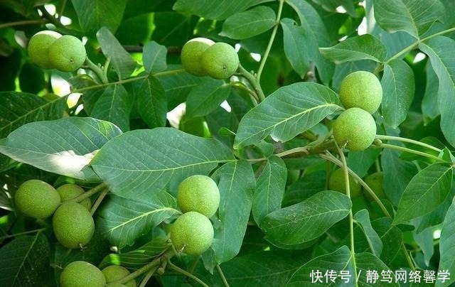 黄帝行:首山成天下第一山,襄城历史揭开新篇章