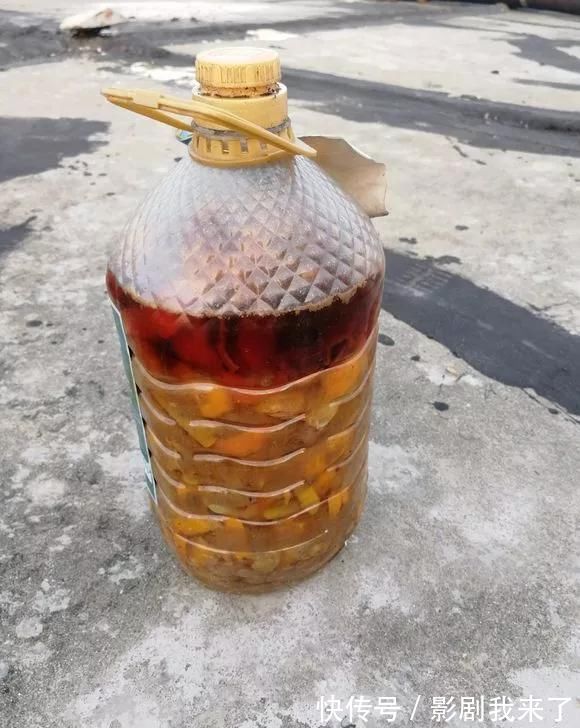 骨粉|养花不开花?自制“开花肥”,浇盆里猛开花,不用花钱买