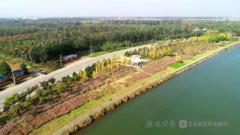 锦簇|白云绿水、鲜花锦簇......滹沱河畔赏秋景