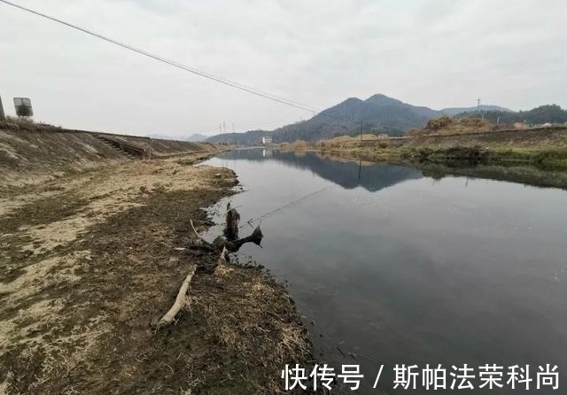 钓鱼|被电过的地方还能钓鱼吗?短时间作钓,只有2种对策方可一试