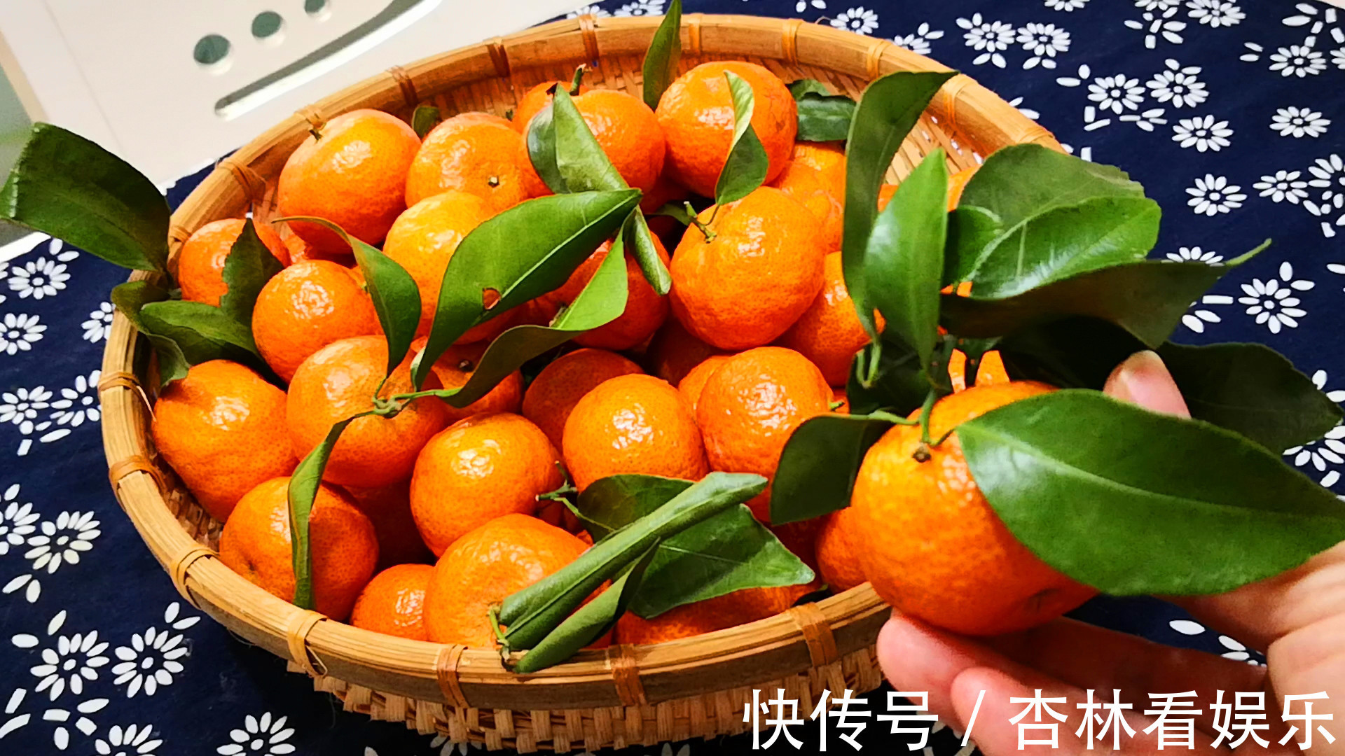 买砂糖橘,别管品种价格,见到此4种要留心,为了家人白给也不要