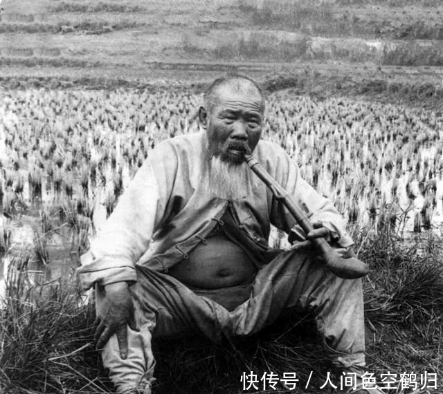 农民放置多年的“柴火”成文物，博物馆奖1800元，今禁止出境展览