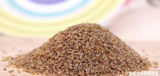 寒性|蒲公英,被称为“药草皇后”,谨记“五搭配、四禁忌”,别再犯错