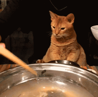 |搞笑GIF:本来想展示一下自己的身材 没想到一下子卡进去了