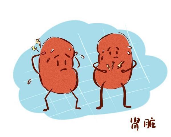 直系亲属|肾结石会找上门,或主要与这5个因素有关,了解后,及时调整