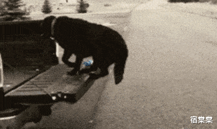 哥们 五星级酒店捡了一块表,能不能值500,有懂的伙伴儿吗