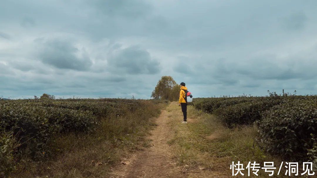 苦难&《活出生命的意义》：人生所有的痛苦，都是来渡你的