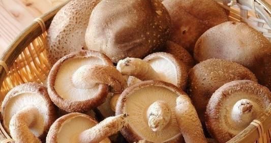 女性进入更年期,5种食物经常吃,助你养护卵巢,更显年轻!