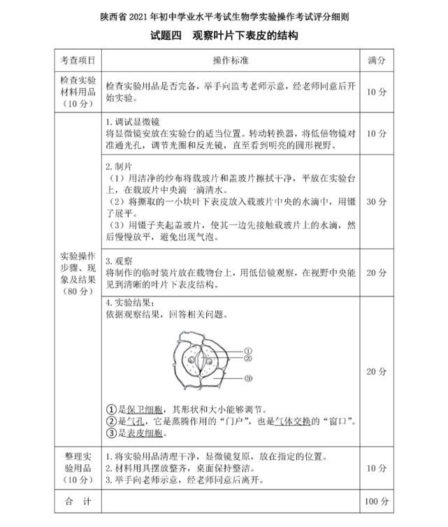 速看！生物实验考什么？怎么考？评分细则、试题大公开！