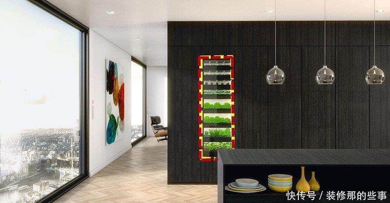 种菜|橱柜里也能种菜?煮泡面直接抓一把青菜下去,将橱柜空1格就行!