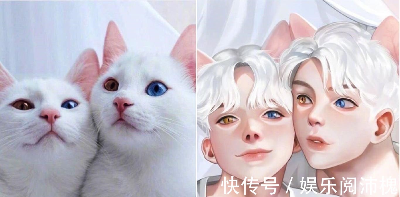 当动物被画师二次元化,可盐可甜可帅气,还是纸片人更让人心动