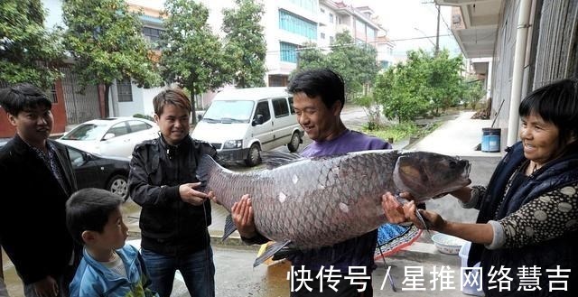 地形|秋天钓鱼人不愿分享的四个钓位,却是藏鱼的“宝地”,可惜才知道