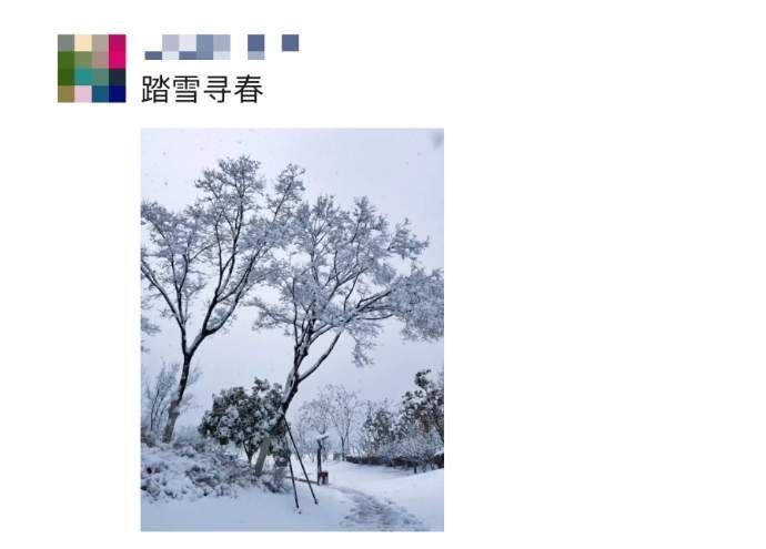 打雪仗|北方人：想不到我也有在朋友圈看南方下雪的一天