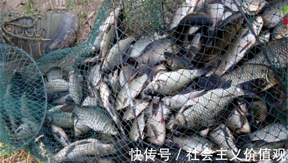 冬季钓鱼,一刮风就停口?鱼都“冻”得躲起来,还不用这种钓法?