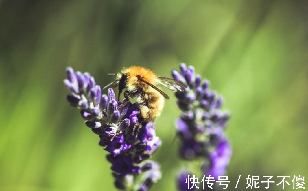 翻身|11月，好事多磨，险中求胜，3生肖顺利翻身，一旺到底，直济沧海