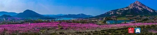 走在东港的春天里⑨：暮春之际｜不负春光不负景，淡云流水观“石老山”！