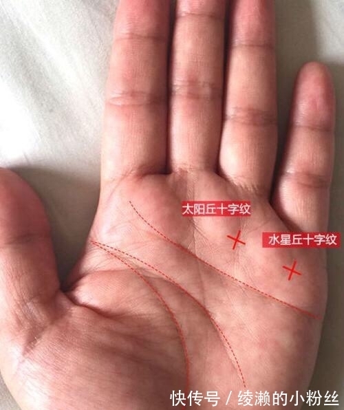 偏财运|哪些手相容易有偏财运？看看有你吗？