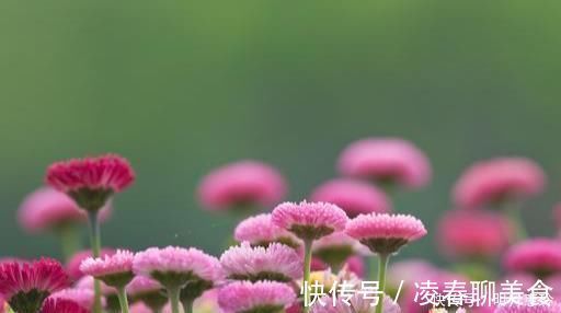 白开水$50、60、70岁的朋友,记住这7句话,让你的生活更幸福