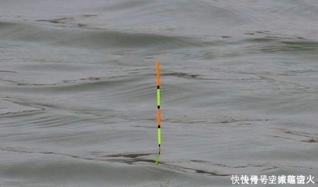 漂相|不知道用七星漂还是立漂，看完这篇就知道了