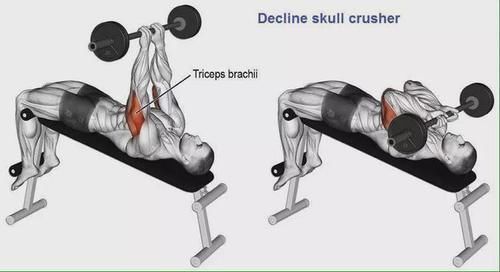 弯杆|最全的肱二三头肌训练图解，漂亮手臂必备！