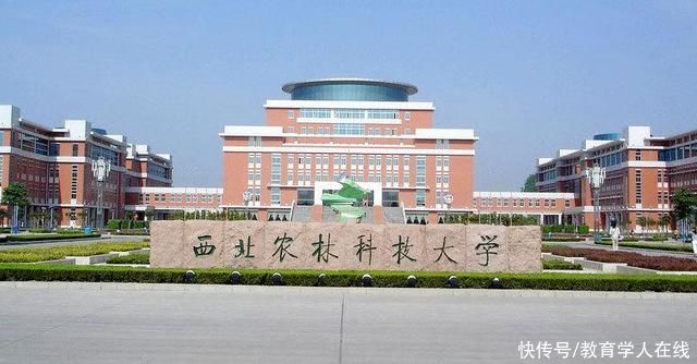 2021年考研调剂:这几所985大学名额很多，不少学生捡漏上了名校